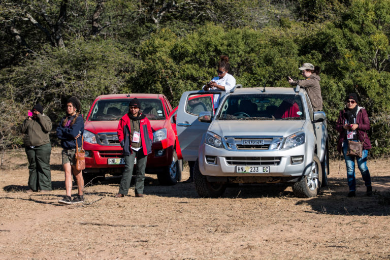 Isuzu Horn Free – A Real Solution for a Real Issue
