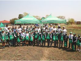 Planting Hope, One Tree at a Time