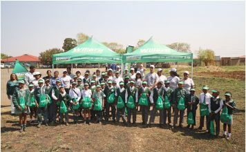 Planting Hope, One Tree at a Time